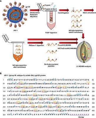 Sequential Analysis of the N/O-Glycosylation of Heavily Glycosylated HIV-1 gp120 Using EThcD-sceHCD-MS/MS